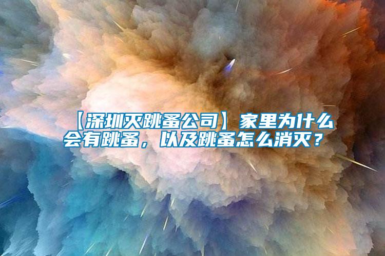 【深圳滅跳蚤公司】家里為什么會有跳蚤，以及跳蚤怎么消滅？