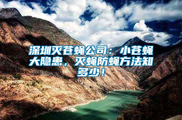 深圳滅蒼蠅公司：小蒼蠅大隱患，滅蠅防蠅方法知多少！