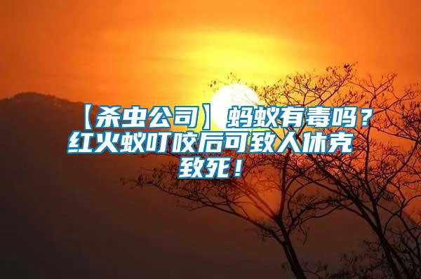 【殺蟲公司】螞蟻有毒嗎？紅火蟻叮咬后可致人休克致死！