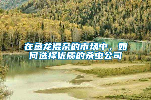在魚龍混雜的市場中，如何選擇優(yōu)質的殺蟲公司