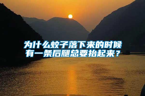 為什么蚊子落下來的時(shí)候有一條后腿總要抬起來？