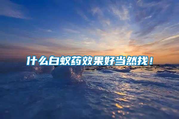 什么白蟻藥效果好當然找！
