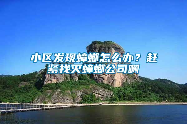 小區發現蟑螂怎么辦？趕緊找滅蟑螂公司啊