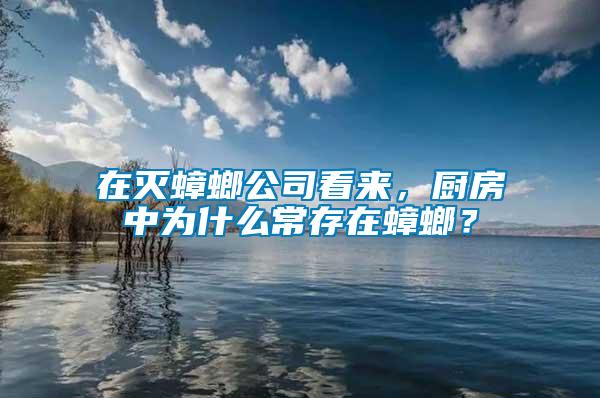 在滅蟑螂公司看來，廚房中為什么常存在蟑螂？