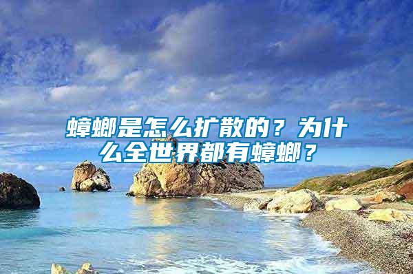 蟑螂是怎么擴散的？為什么全世界都有蟑螂？