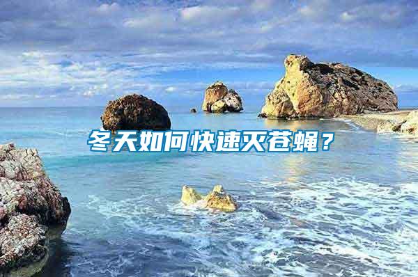 冬天如何快速滅蒼蠅？
