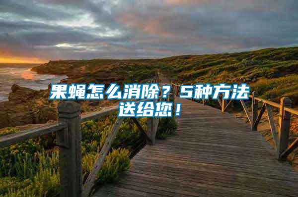 果蠅怎么消除？5種方法送給您！