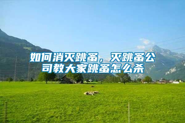 如何消滅跳蚤，滅跳蚤公司教大家跳蚤怎么殺