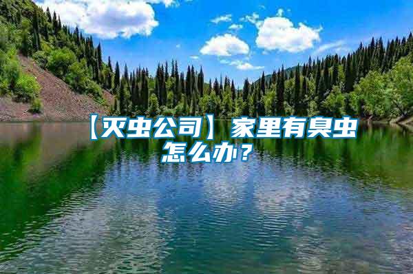 【滅蟲公司】家里有臭蟲怎么辦？