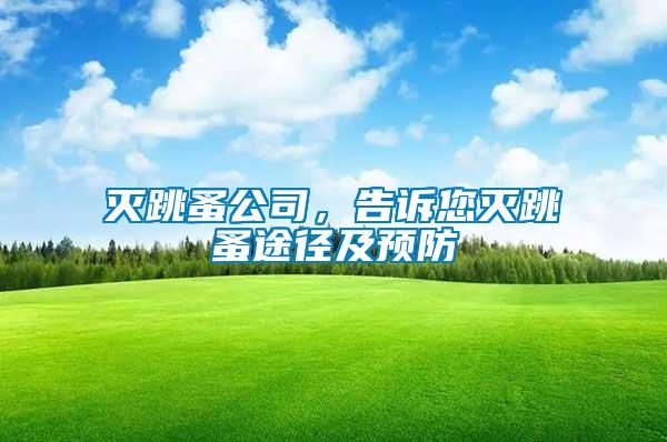滅跳蚤公司，告訴您滅跳蚤途徑及預(yù)防