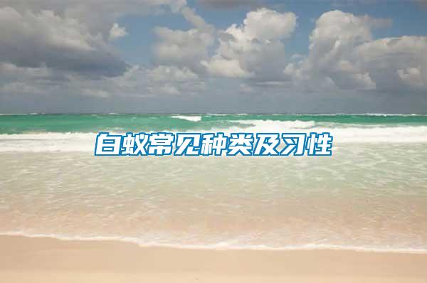 白蟻常見種類及習性
