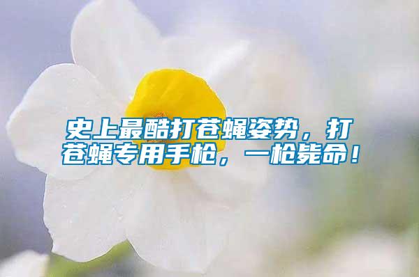 史上最酷打蒼蠅姿勢，打蒼蠅專用手槍，一槍斃命！