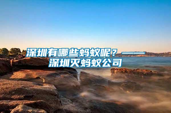 深圳有哪些螞蟻呢？——深圳滅螞蟻公司
