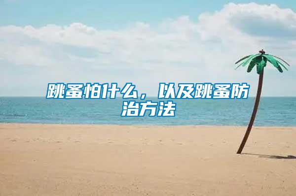 跳蚤怕什么，以及跳蚤防治方法
