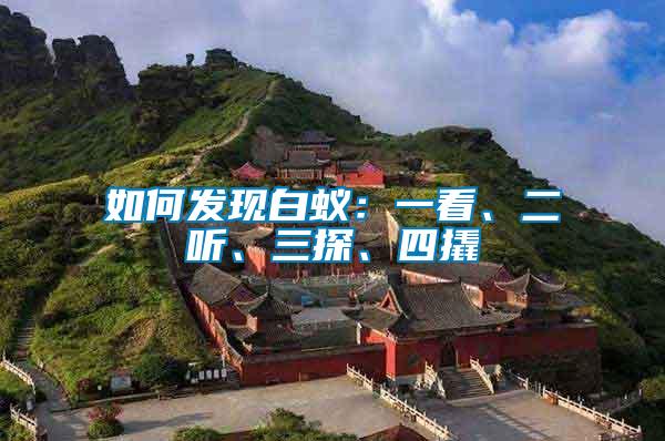 如何發(fā)現(xiàn)白蟻：一看、二聽(tīng)、三探、四撬