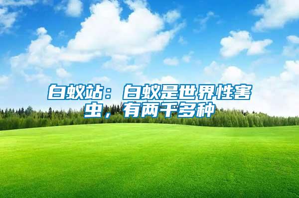 白蟻站：白蟻是世界性害蟲，有兩千多種
