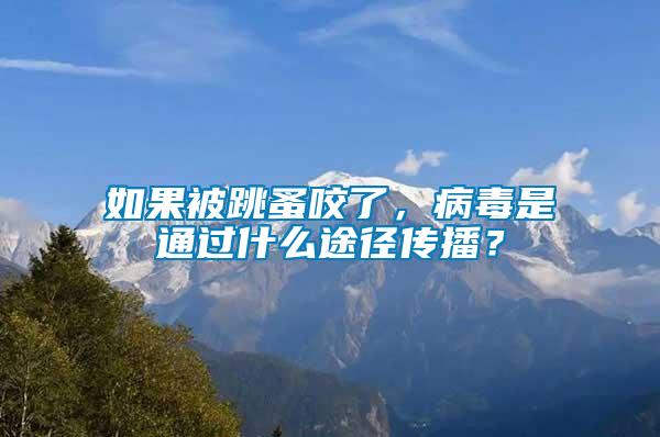 如果被跳蚤咬了，病毒是通過什么途徑傳播？