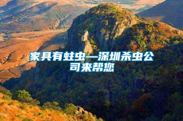 家具有蛀蟲(chóng)—深圳殺蟲(chóng)公司來(lái)幫您