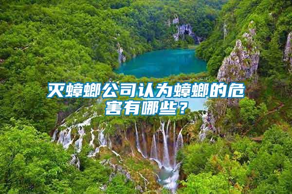 滅蟑螂公司認為蟑螂的危害有哪些？