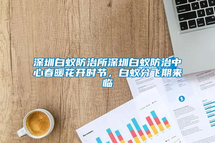 深圳白蟻防治所深圳白蟻防治中心春暖花開時(shí)節(jié)，白蟻分飛期來臨