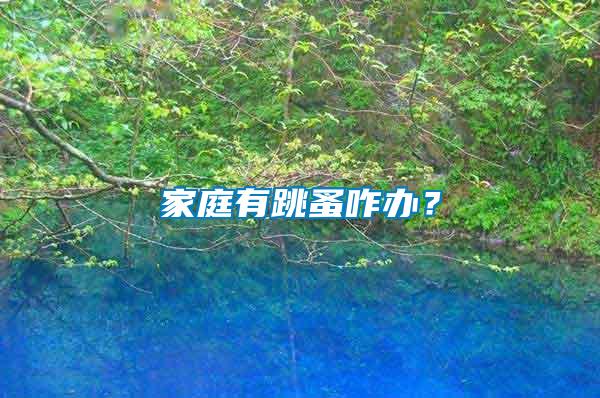 家庭有跳蚤咋辦？