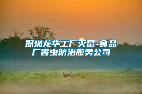 深圳龍華工廠(chǎng)滅鼠-食品廠(chǎng)害蟲(chóng)防治服務(wù)公司