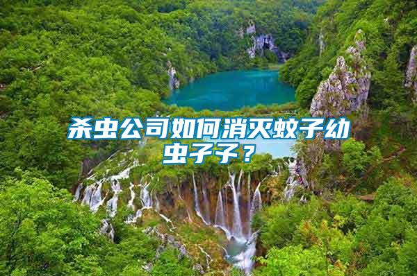 殺蟲公司如何消滅蚊子幼蟲孑孓？