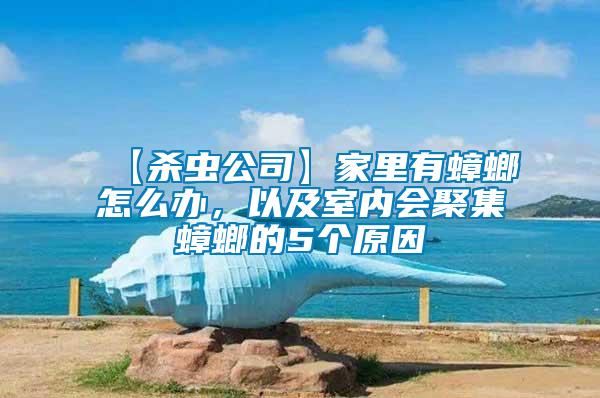 【殺蟲公司】家里有蟑螂怎么辦，以及室內(nèi)會聚集蟑螂的5個原因