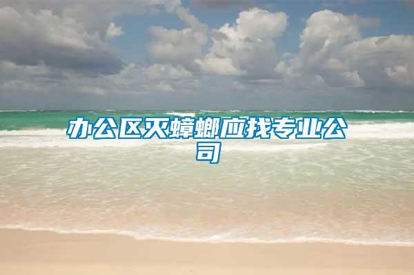辦公區滅蟑螂應找專業公司