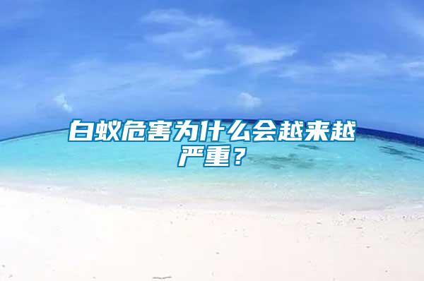 白蟻危害為什么會越來越嚴重？