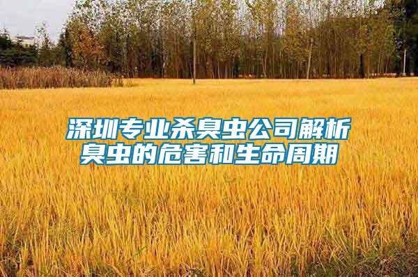 深圳專(zhuān)業(yè)殺臭蟲(chóng)公司解析臭蟲(chóng)的危害和生命周期