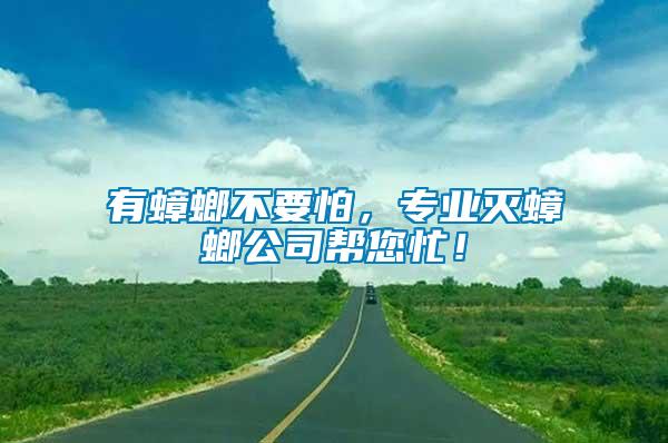 有蟑螂不要怕，專業滅蟑螂公司幫您忙！
