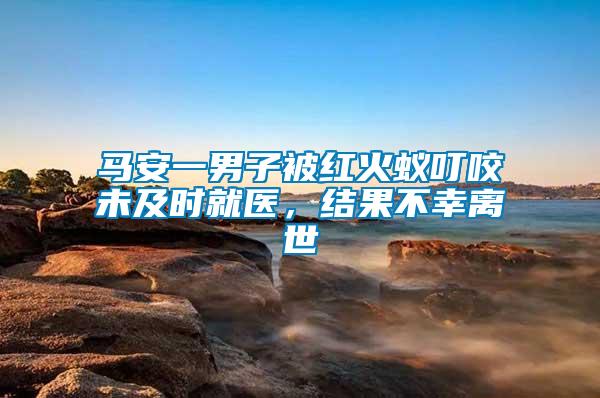 馬安一男子被紅火蟻叮咬未及時就醫(yī)，結(jié)果不幸離世