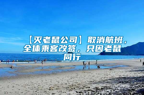 【滅老鼠公司】取消航班，全體乘客改簽，只因老鼠同行