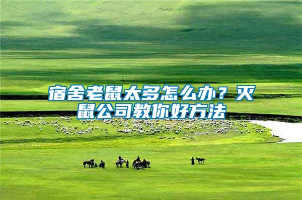 宿舍老鼠太多怎么辦？滅鼠公司教你好方法