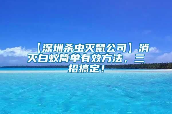 【深圳殺蟲滅鼠公司】消滅白蟻簡單有效方法，三招搞定！