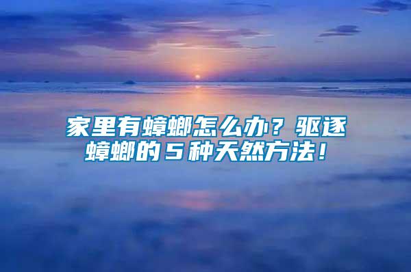 家里有蟑螂怎么辦？驅(qū)逐蟑螂的５種天然方法！
