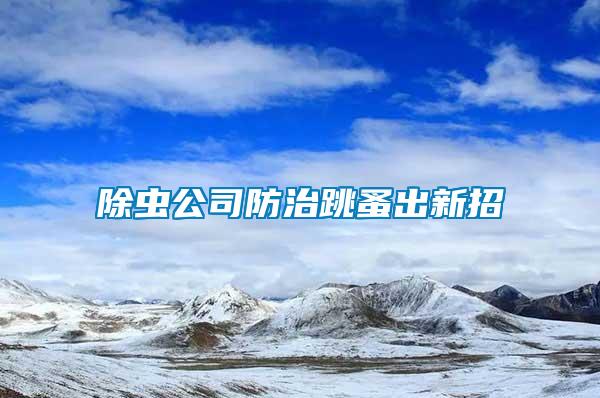 除蟲(chóng)公司防治跳蚤出新招