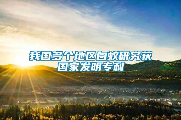 我國多個地區(qū)白蟻研究獲國家發(fā)明專利