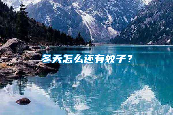 冬天怎么還有蚊子？