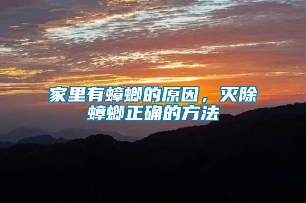 家里有蟑螂的原因，滅除蟑螂正確的方法