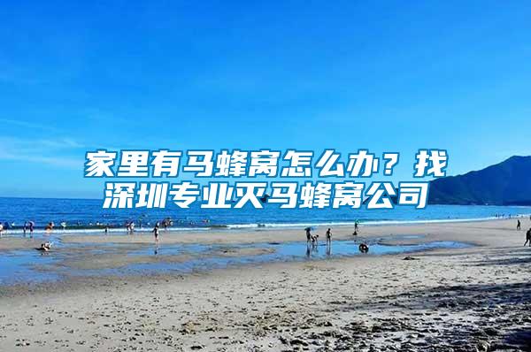 家里有馬蜂窩怎么辦？找深圳專業滅馬蜂窩公司