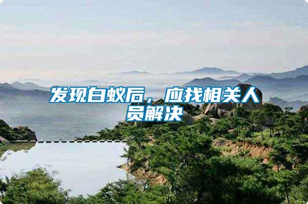 發現白蟻后，應找相關人員解決