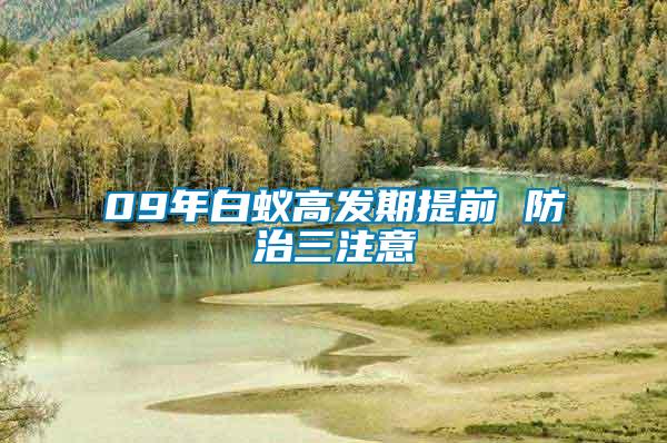 09年白蟻高發期提前 防治三注意