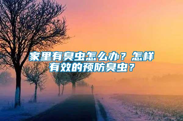 家里有臭蟲怎么辦？怎樣有效的預防臭蟲？