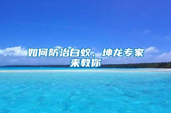 如何防治白蟻、坤龍專家來教你