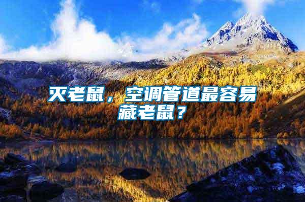 滅老鼠，空調管道最容易藏老鼠？