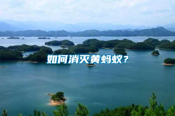 如何消滅黃螞蟻？