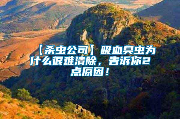 【殺蟲公司】吸血臭蟲為什么很難清除，告訴你2點(diǎn)原因！