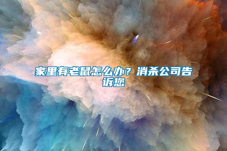 家里有老鼠怎么辦？消殺公司告訴您